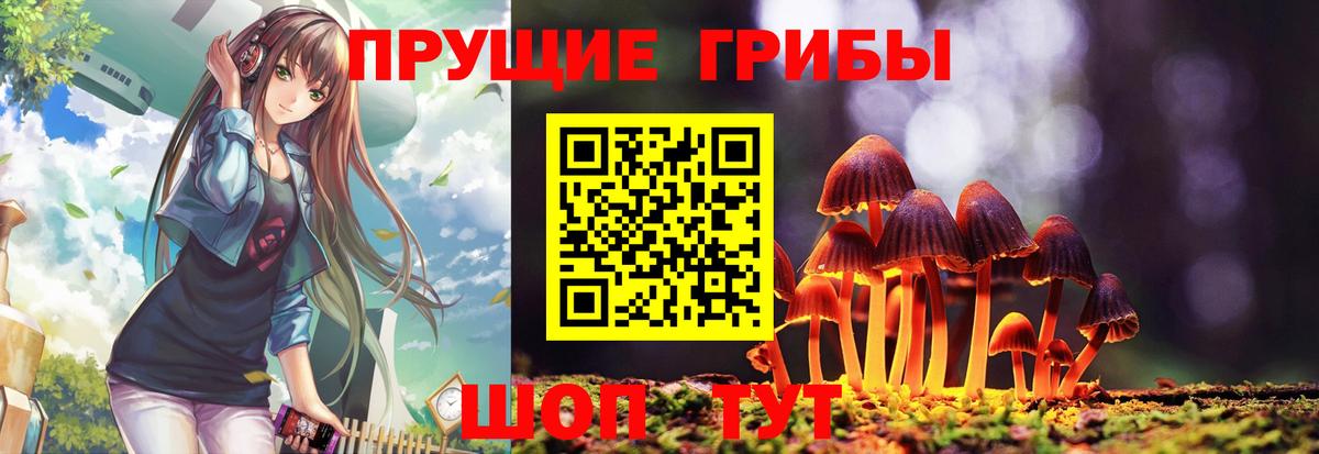 Лесозаводск  Галлюциногенные грибы MAGIC MUSHROOMS  Вход с VPN  Галлюциногенные грибы мицелий 
